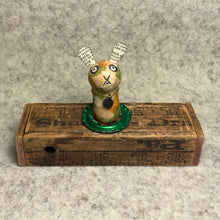 Load image into Gallery viewer, Stumpy Bunny - Desert Camouflage